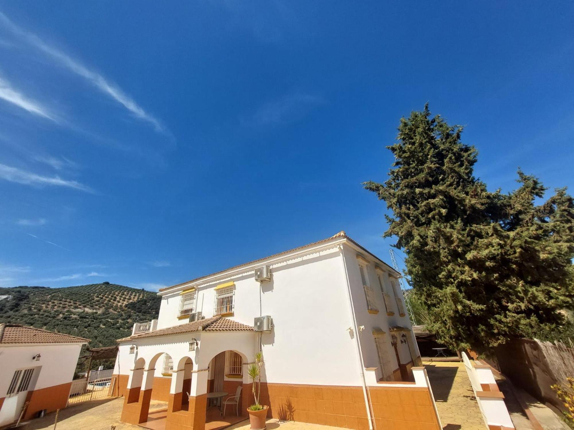 Апартаменти Casa Pino Solo Існахар Екстер'єр фото