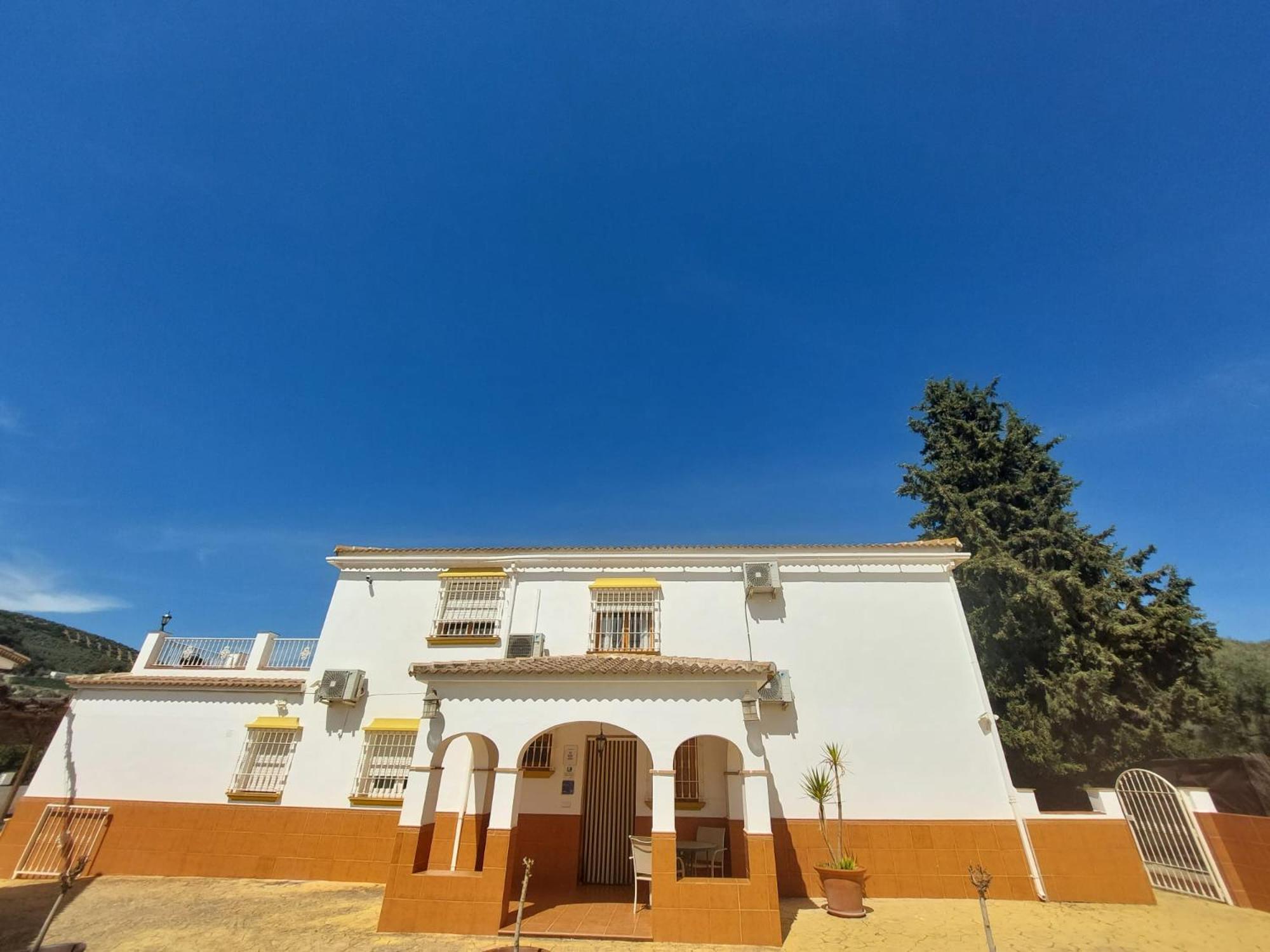 Апартаменти Casa Pino Solo Існахар Екстер'єр фото